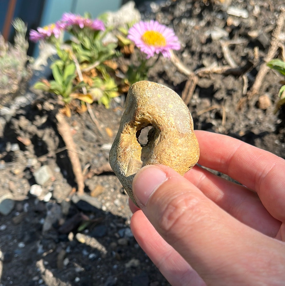 Hag Stone (E1)