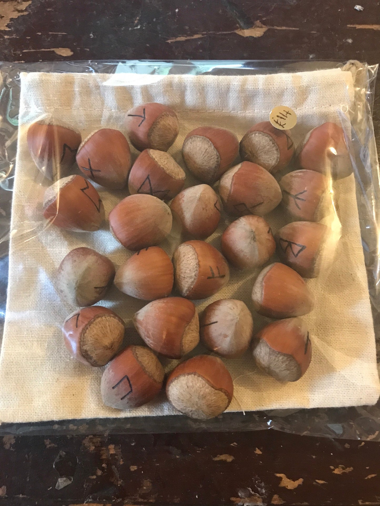 Cob nut Pyrographed Runes