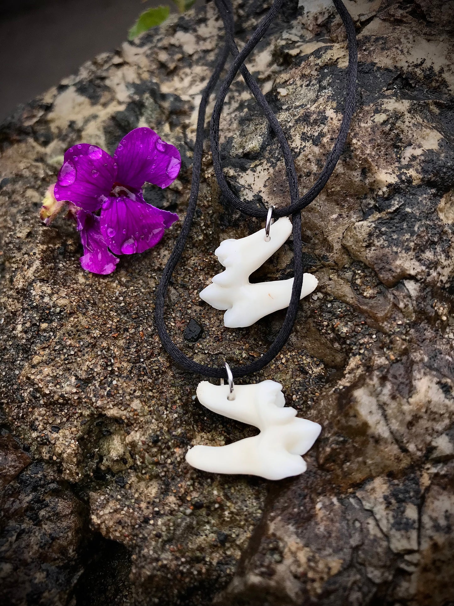 Fox tooth pendant