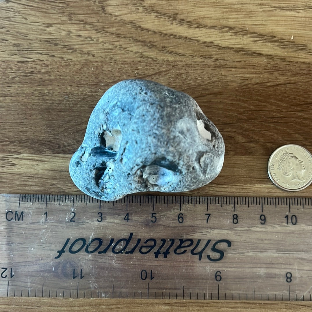 Medium Hag stone (D24)