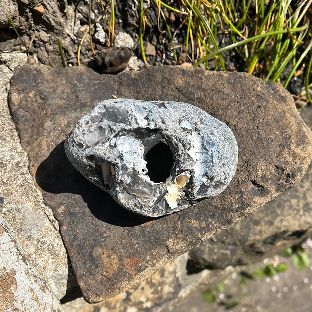 Large Hag Stone (C13)