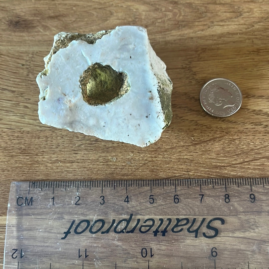 Medium Hag Stone (D19)