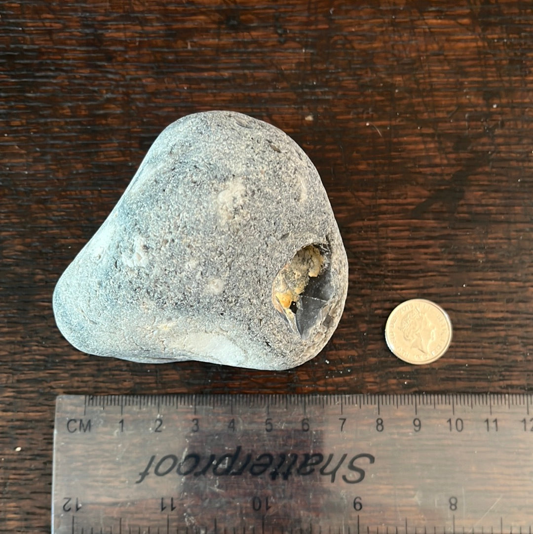 Large Hag Stone (C16)